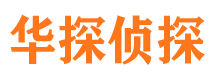 岚县侦探公司